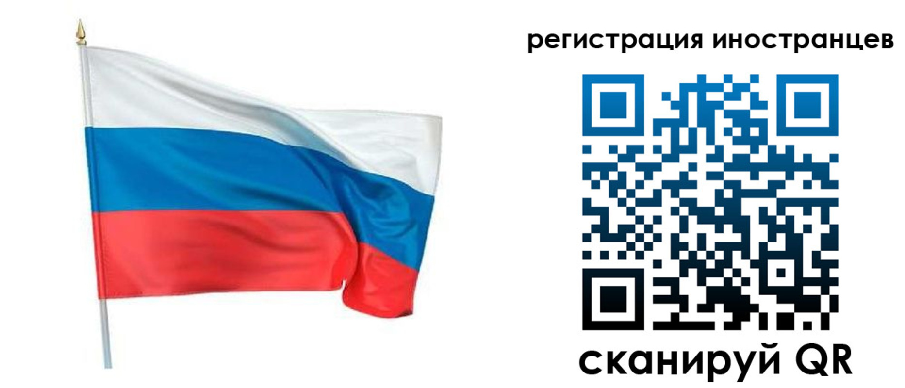 прописка 2025 в Солнечногорске